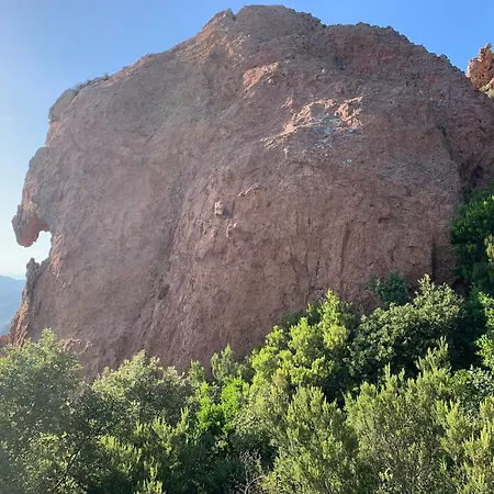 Cap Esterel - Endroit Magique Entre Et L'esterel - Agreable 2 Pieces Au Gout Du Jour Vue * Saint-Raphaël