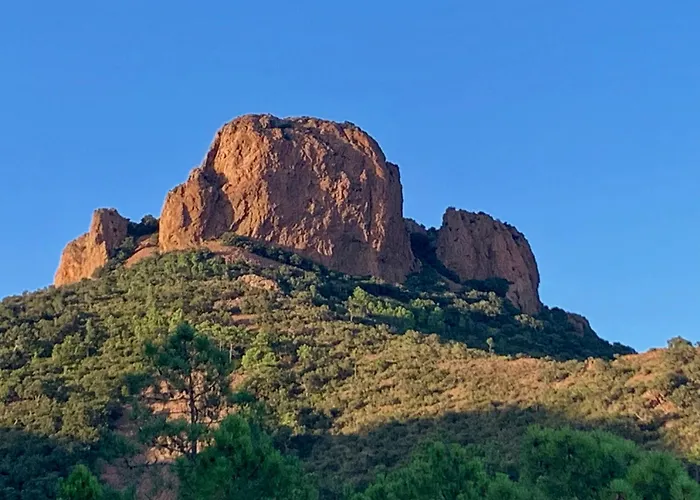 Апартаменти Cap Esterel - Endroit Magique Entre Et L'esterel - Agreable 2 Pieces Au Gout Du Jour Vue
