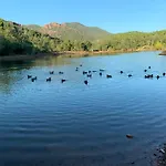 Cap Esterel - Endroit Magique Entre Et L'esterel - 2 Pièces Au Gout Du Jour Vue Apartamento *