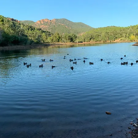 Cap Esterel - Endroit Magique Entre Et L'esterel - Agreable 2 Pieces Au Gout Du Jour Vue Apartment *