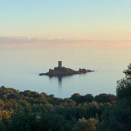 Cap Esterel - Endroit Magique Entre Et L'esterel - Agreable 2 Pieces Au Gout Du Jour Vue Apartment Saint-Raphael (Var)