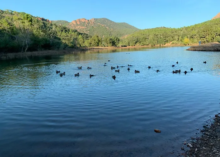 Cap Esterel - Endroit Magique Entre Et L'esterel - 2 Pièces Au Gout Du Jour Vue Apartamento *